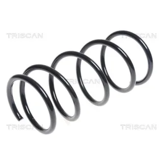 Triscan Feder vorne Nissan Pixo Suzuki Alto
