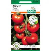 SAMEN PFANN Gemüsesamen Tomate, Previa F1 - Saatgut Tomaten Samen, Solanum lycopersicum