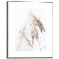 Reinders! Kunstdruck Pampasgras