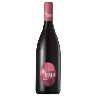2025 Monticelli Brachetto
