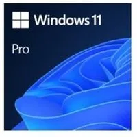 Microsoft Windows 11 Pro OEM (Betriebssystem)