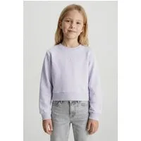 Calvin Klein Jeans Sweatshirt CREWNECK SWEATSHIRT Regular fit für Kinder mit Rundhalsausschnitt