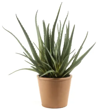 Kunstpflanze Aloe Vera