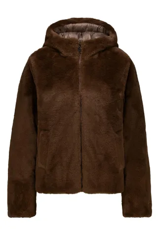 Garcia - GJ2600911 deep cocoa - Gr. - M
