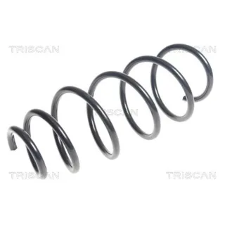 Triscan Feder Vorne Chevrolet Aveo 1,3