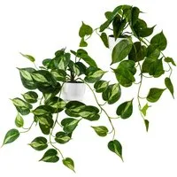 Kunstpflanze Künstliche hängepflanzen im Keramiktopf, Kunstpflanze hängend Efeu, Eukalyptus, Monstera, Zebrapflanze, PASCH