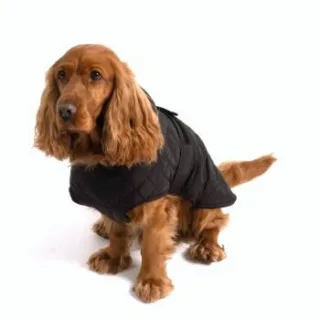 PAW WOW Hundejacke FRITZ Schwarz XL