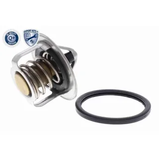 Ackoja Thermostat + Dichtung Fiat Mitsubishi Smart Subaru Suzuki