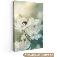 OneMillionCanvasses® Leinwandbild Marienkäfer - Blumen - Weiß, Fotodruck (1 St), Leinwand Canvas Wandbild, Wanddekoration 20x30 cm