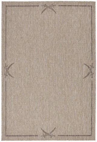 Braun