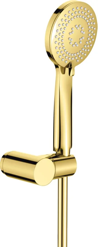 Neuesbad Serie 200 1-Punkt-Duschset, Gold NB1DENQAZ41K1