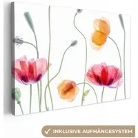 OneMillionCanvasses® Leinwandbild Mohn - Blumen - Frühling - Weiß, Fotodruck (1 St), Leinwand Bilder Klein, Wand Dekoration Aesthetic 30x20 cm