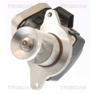 Triscan AGR-Ventil Mercedes C-Klasse Clc-Klasse Clk E-Klasse