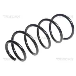 Triscan Feder vorne BMW X1 875011162