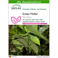 SAFLAX Kräutersamen SAFLAX - Samen und Substrat - Echter Pfeffer