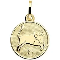 My Gold Sternzeichenanhänger Damen & Kinder Sternzeichen Anhänger Gold 333 STIER - Zodiac round (Set, 1-tlg., inkl. Schmuckbox), Geschenke