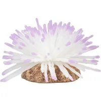 Europet-Bernina Aquariendeko Plastikpflanze Anemone weiß