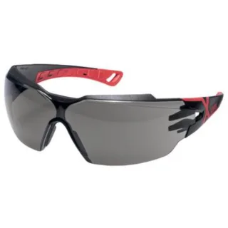 uvex Bügelbrille pheos cx2 Infrarotschutz 3,0 schwarz, rot - 9198173