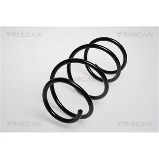 Triscan Feder vorne BMW 5er E39