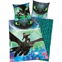 Kinderbettwäsche Dragons Abenteuer, Renforcé, 2 teilig, mit Glow in the Dark Effekt