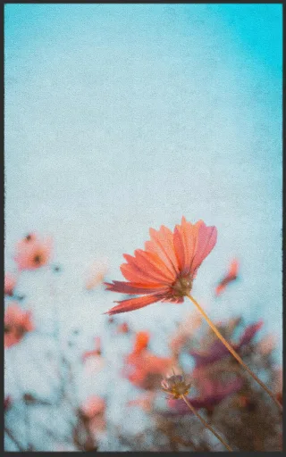 Fussmatte 7272 | Größe: 60 cm x 90 cm