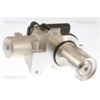 Triscan AGR-Ventil Audi Skoda VW 881329101