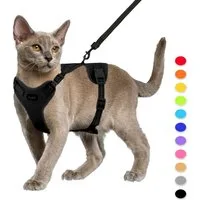 Supet Katzen-Halsband Katzengeschirr und Leine Set Fluchtsicher verstellbar reflektierend