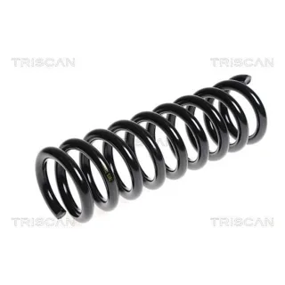 Triscan Feder Vorne Nissan Navara 2,5
