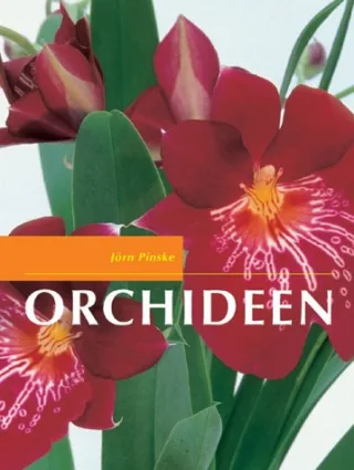 Orchideen