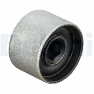 Delphi Querlenkerlager Audi A2 Seat Ibiza