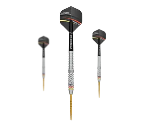 Precise 180 Ricardo Pietreczko GEN1 Steeldarts
