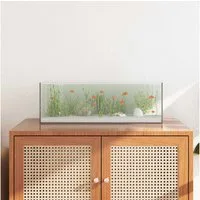 vidaXL Aquarium, Aquarium mit Speicher Transparent 60 x 20 x 20 cm Glas
