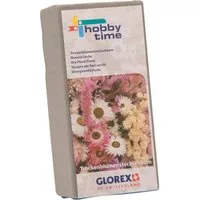 Glorex Bastelnaturmaterial Glorex Steckschaum für Trockenblumen