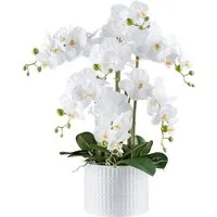 Kunstorchidee Orchidee Phalaenopsis, Creativ green, Höhe 60 cm, mit real-touch-Blüten