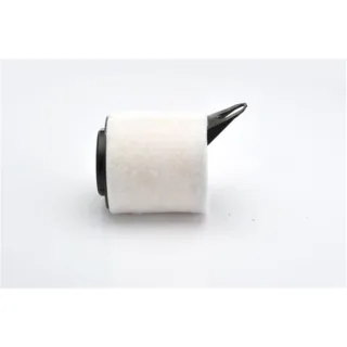 Bosch Luftfilter BMW 1er 3er X1 F026400018