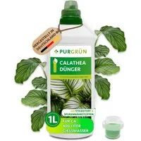 Purgrün Universaldünger Calathea Dünger, NPK 7+3+6, Widerstandskraft, 1L, Flüssigdünger, 1-St., 1 Liter