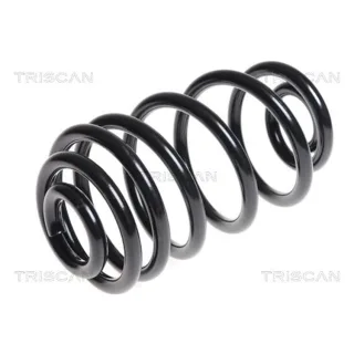 Triscan Feder hinten Opel Astra J 875024168