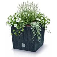 Prosperplast Blumentopf Rato Low (26,6 cm), inkl. Einsatz