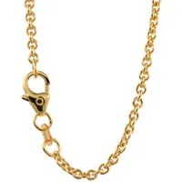 HOPLO Goldkette Goldkette Ankerkette Länge 40cm - Breite 2,0mm - 585-14 Karat Gold, Made in Germany