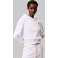 Calvin Klein Jeans Kapuzensweatshirt LS ARCHIVE TERRY PO HOOD Mit Rundhalsausschnitt
