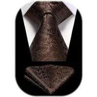 LuxusKollektion Krawatte Krawatten Herren Hochzeit Paisley Einstecktuch Set N-Braun-1