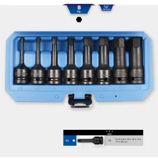 Brilliant Tools 1/2" Kraft-Bit-Stecknuss-Satz, Innensechskant, 8-tlg, 5 - 19 mm - BT022615