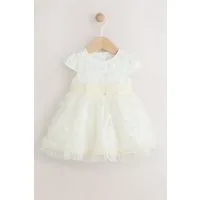 Next Partykleid Baby Kleid für besondere Anlässe (1-tlg)