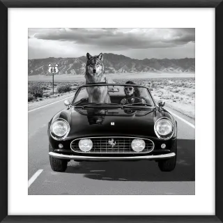 Bild WOLF AND LADY ON HIGHWAY