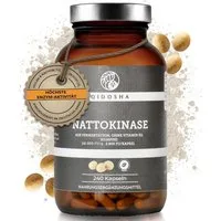 QIDOSHA Nattokinase Kapseln, 240 St., 45.6 g, 2800 FU pro Kapsel