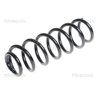 Triscan Feder hinten Renault Grand 87502599