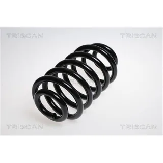 Triscan Feder Hinten Mercedes Viano Vito 875023145