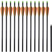 vidaXL Compoundbogen, Compoundbogen-Pfeile 30" 0,8 cm Fiberglas 12 Stk.
