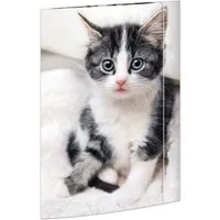 RNK Verlag Konferenzmappe 1 Zeichenmappe mit Gummizug 3 Klappen am Unterdeckel A3 - Katze