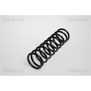 Triscan Feder hinten Audi 50 VW Derby Polo